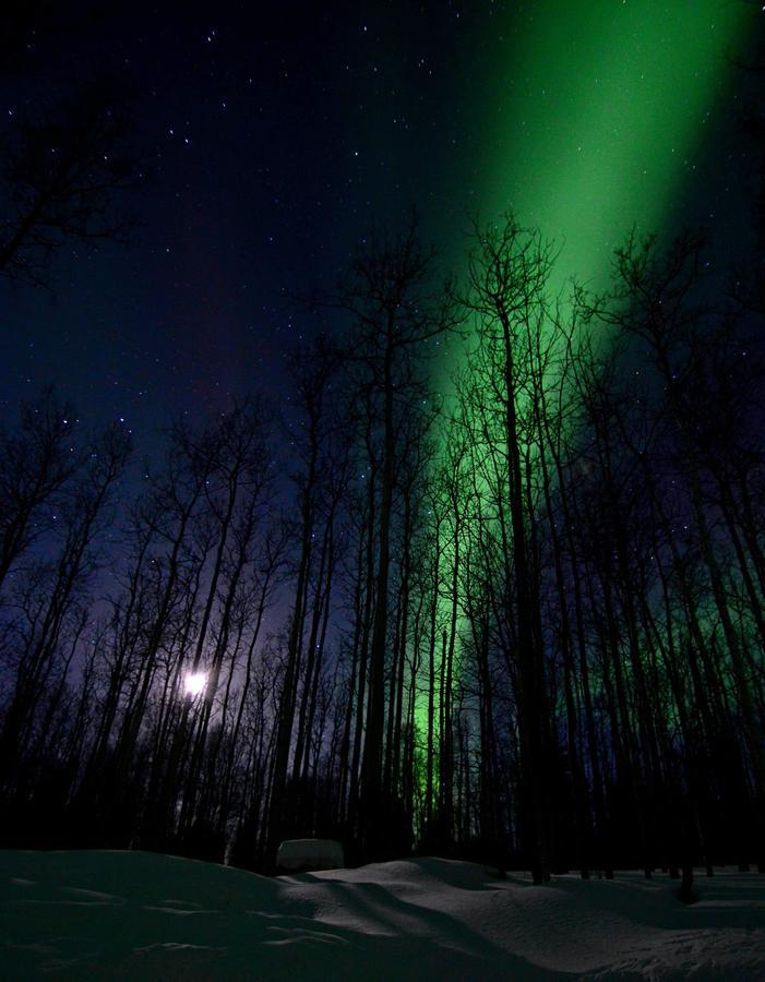 Wildmoon Home แฟร์แบงค์ส ภายนอก รูปภาพ